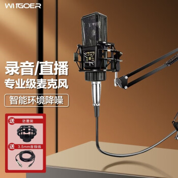 智国者专业电脑麦克风声卡直播电竞外设电容降噪游戏k歌录音主播